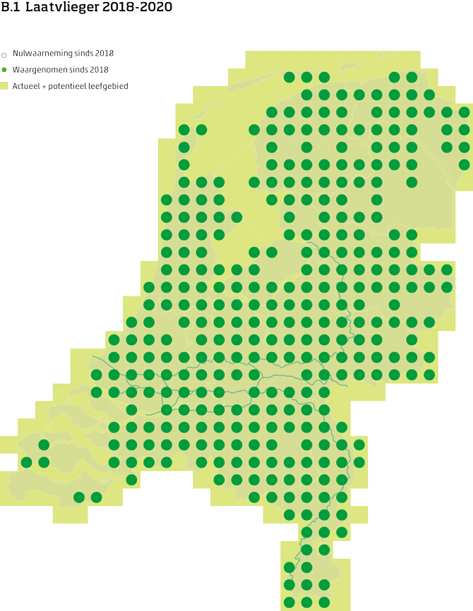 De kaart toont voor de laatvlieger het actueel en potentieel leefgebied Nederland. In 10 bij 10 kilometer hokken is aangegeven waar de soort sinds 2018 is waargenomen en waar niet.