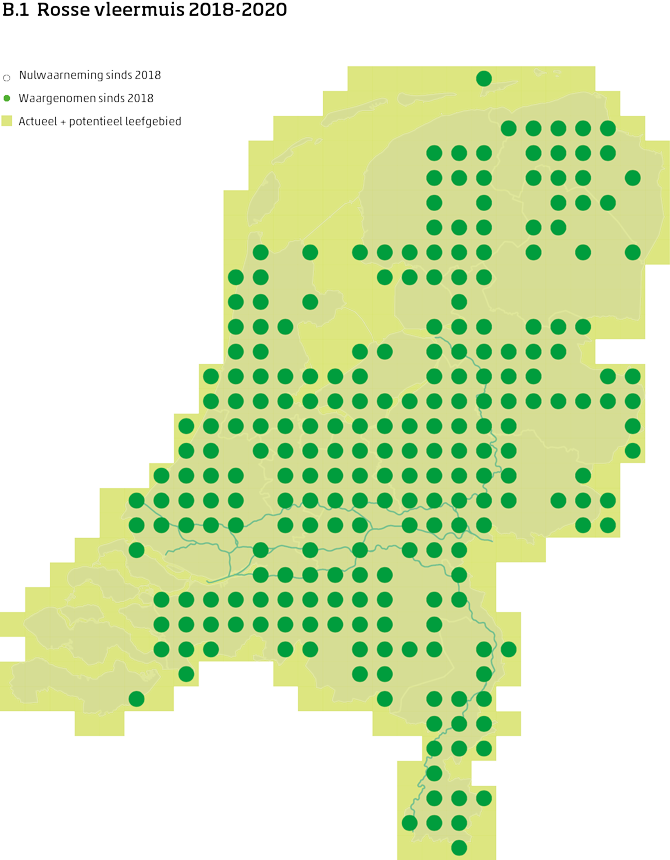De kaart toont voor de rosse vleermuis het actueel en potentieel leefgebied Nederland. In 10 bij 10 kilometer hokken is aangegeven waar de soort sinds 2018 is waargenomen en waar niet.