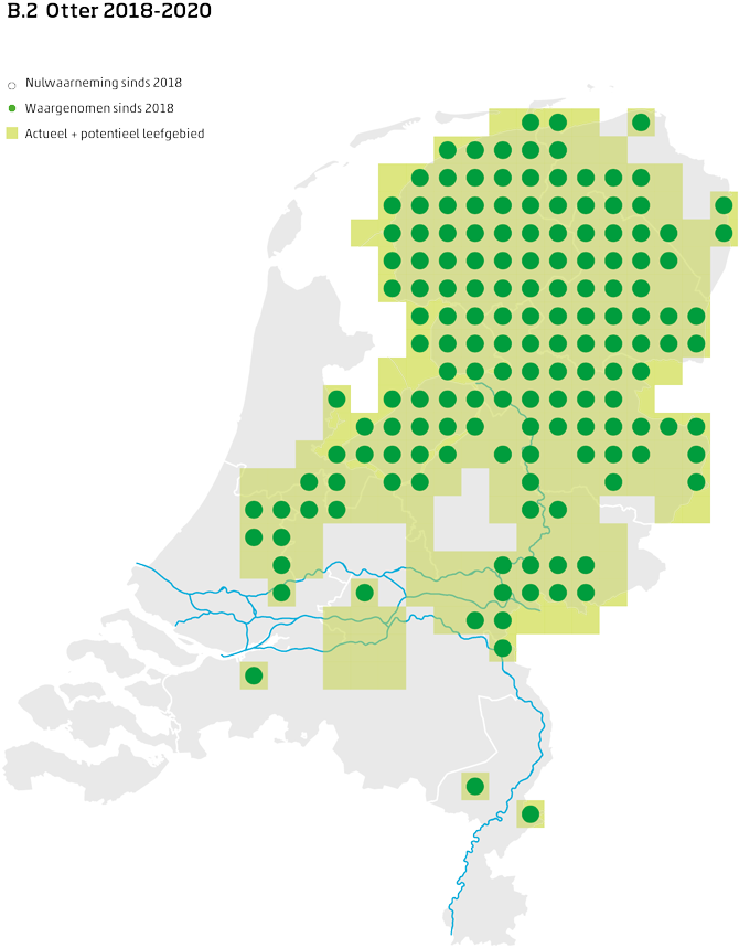 De kaart toont voor de otter het actueel en potentieel leefgebied Nederland. In 10 bij 10 kilometer hokken is aangegeven waar de soort sinds 2018 is waargenomen en waar niet.