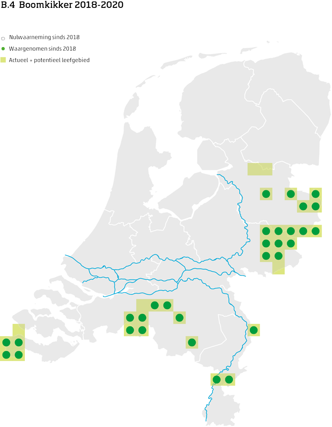 De kaart toont voor de boomkikker het actueel en potentieel leefgebied Nederland. In 10 bij 10 kilometer hokken is aangegeven waar de soort sinds 2018 is waargenomen en waar niet.