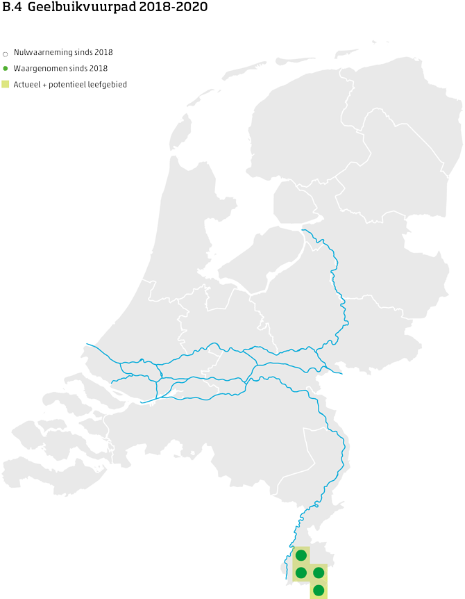 De kaart toont voor de geelbuikvuurpad het actueel en potentieel leefgebied Nederland. In 10 bij 10 kilometer hokken is aangegeven waar de soort sinds 2018 is waargenomen en waar niet.