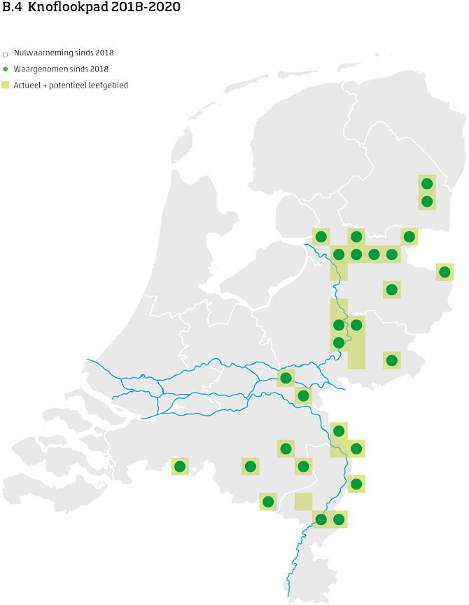 De kaart toont voor de knoflookpad het actueel en potentieel leefgebied Nederland. In 10 bij 10 kilometer hokken is aangegeven waar de soort sinds 2018 is waargenomen en waar niet.