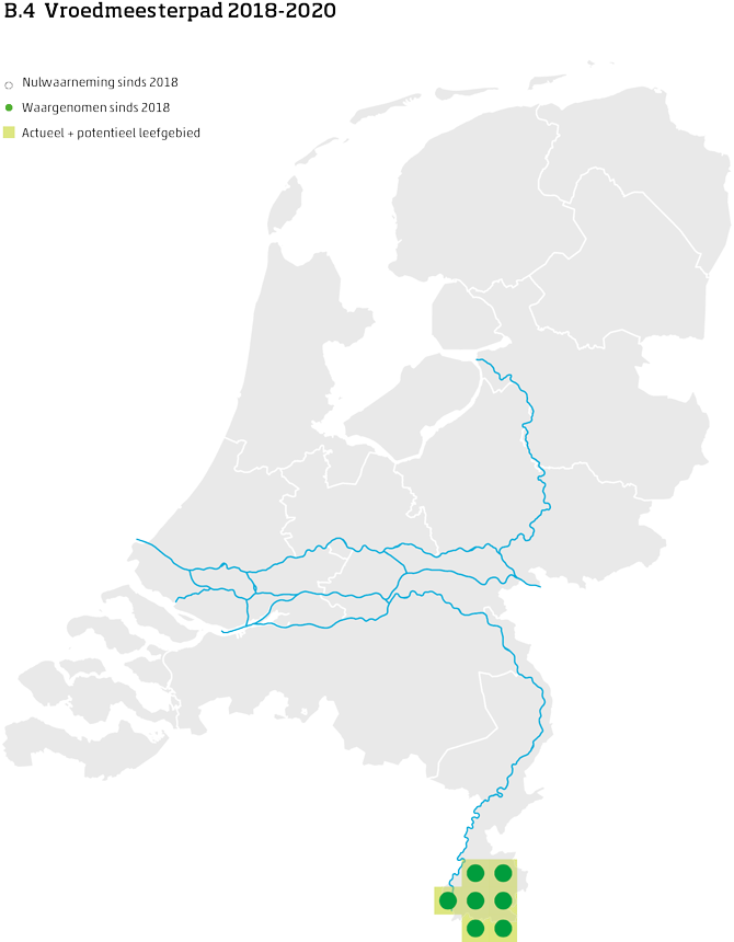 De kaart toont voor de vroedmeesterpad het actueel en potentieel leefgebied Nederland. In 10 bij 10 kilometer hokken is aangegeven waar de soort sinds 2018 is waargenomen en waar niet.