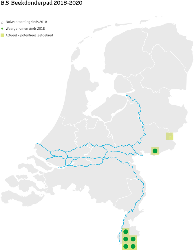 De kaart toont voor de beekdonderpad het actueel en potentieel leefgebied Nederland. In 10 bij 10 kilometer hokken is aangegeven waar de soort sinds 2018 is waargenomen en waar niet.