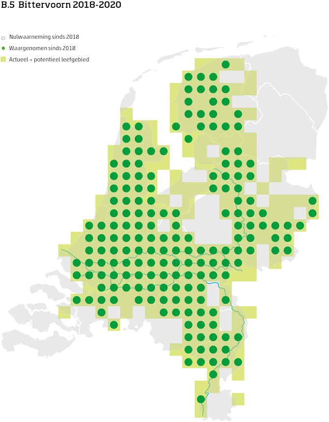 De kaart toont voor de bittervoorn het actueel en potentieel leefgebied Nederland. In 10 bij 10 kilometer hokken is aangegeven waar de soort sinds 2018 is waargenomen en waar niet.