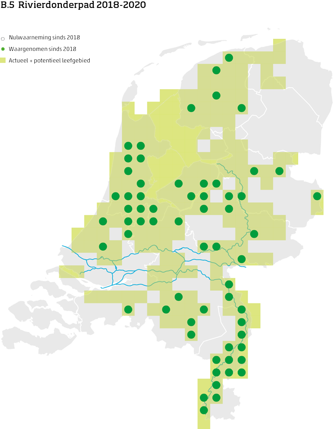 De kaart toont voor de rivierdonderpad het actueel en potentieel leefgebied Nederland. In 10 bij 10 kilometer hokken is aangegeven waar de soort sinds 2018 is waargenomen en waar niet.