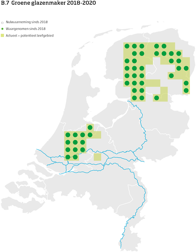 De kaart toont voor de groene glazenmaker het actueel en potentieel leefgebied Nederland. In 10 bij 10 kilometer hokken is aangegeven waar de soort sinds 2018 is waargenomen en waar niet.