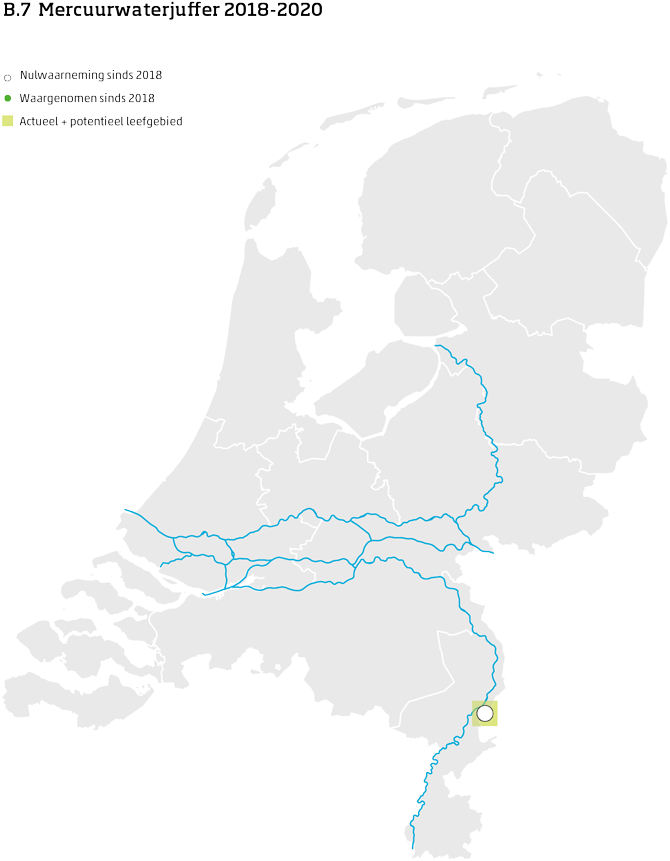 De kaart toont voor de mercuurwaterjuffer het actueel en potentieel leefgebied Nederland. In 10 bij 10 kilometer hokken is aangegeven waar de soort sinds 2018 is waargenomen en waar niet.