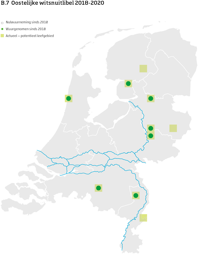 De kaart toont voor de Oostelijke witsnuitlibel het actueel en potentieel leefgebied Nederland. In 10 bij 10 kilometer hokken is aangegeven waar de soort sinds 2018 is waargenomen en waar niet.