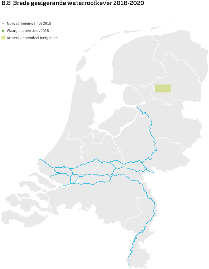De kaart toont voor de brede geelgerande waterroofkever het actueel en potentieel leefgebied Nederland. In 10 bij 10 kilometer hokken is aangegeven waar de soort sinds 2018 is waargenomen en waar niet.