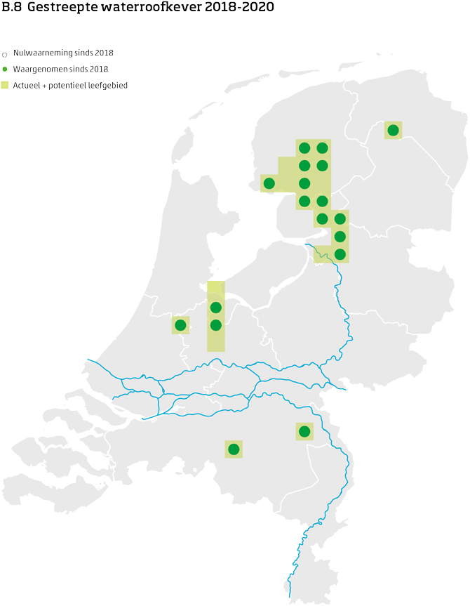 De kaart toont voor de gestreepte waterroofkever het actueel en potentieel leefgebied Nederland. In 10 bij 10 kilometer hokken is aangegeven waar de soort sinds 2018 is waargenomen en waar niet.