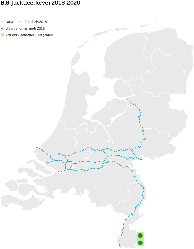 De kaart toont voor de juchtleerkever het actueel en potentieel leefgebied Nederland. In 10 bij 10 kilometer hokken is aangegeven waar de soort sinds 2018 is waargenomen en waar niet.
