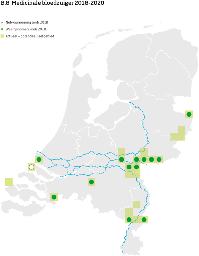 De kaart toont voor de medicinale bloedzuiger het actueel en potentieel leefgebied Nederland. In 10 bij 10 kilometer hokken is aangegeven waar de soort sinds 2018 is waargenomen en waar niet.