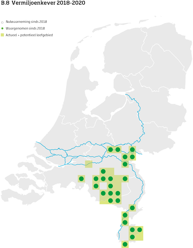 De kaart toont voor de vermiljoenkever het actueel en potentieel leefgebied Nederland. In 10 bij 10 kilometer hokken is aangegeven waar de soort sinds 2018 is waargenomen en waar niet.