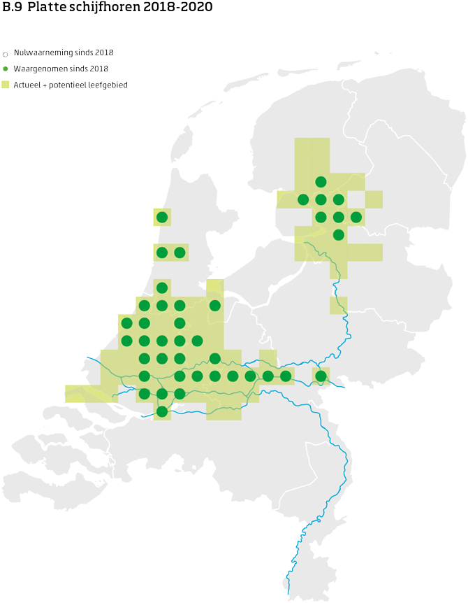De kaart toont voor de platte schijfhoren het actueel en potentieel leefgebied Nederland. In 10 bij 10 kilometer hokken is aangegeven waar de soort sinds 2018 is waargenomen en waar niet.