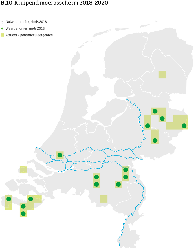 De kaart toont voor kruipend moerasscherm het actueel en potentieel leefgebied Nederland. In 10 bij 10 kilometer hokken is aangegeven waar de soort sinds 2018 is waargenomen en waar niet.