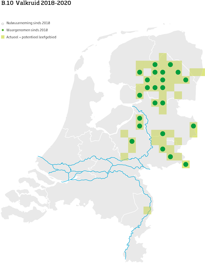 De kaart toont voor valkruid het actueel en potentieel leefgebied Nederland. In 10 bij 10 kilometer hokken is aangegeven waar de soort sinds 2018 is waargenomen en waar niet.