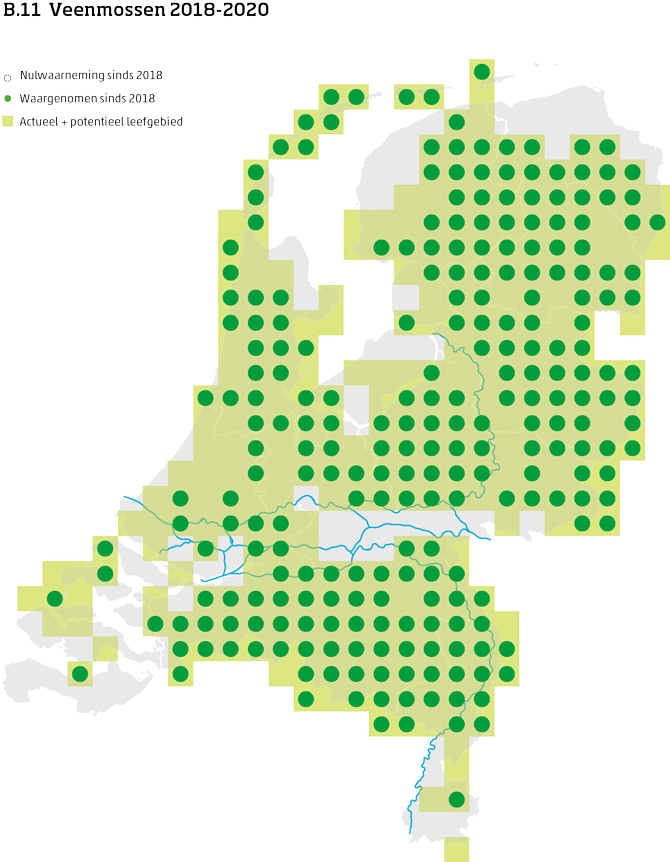 De kaart toont voor de veenmossen het actueel en potentieel leefgebied Nederland. In 10 bij 10 kilometer hokken is aangegeven waar de soort sinds 2018 is waargenomen en waar niet.