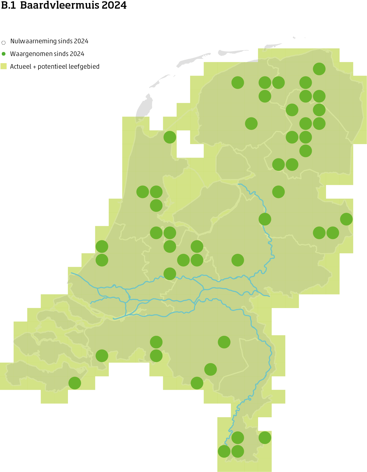 De kaart toont voor de baardvleermuis het actueel en potentieel leefgebied Nederland. In 10 bij 10 kilometer hokken is aangegeven waar de soort sinds 2018 is waargenomen en waar niet.