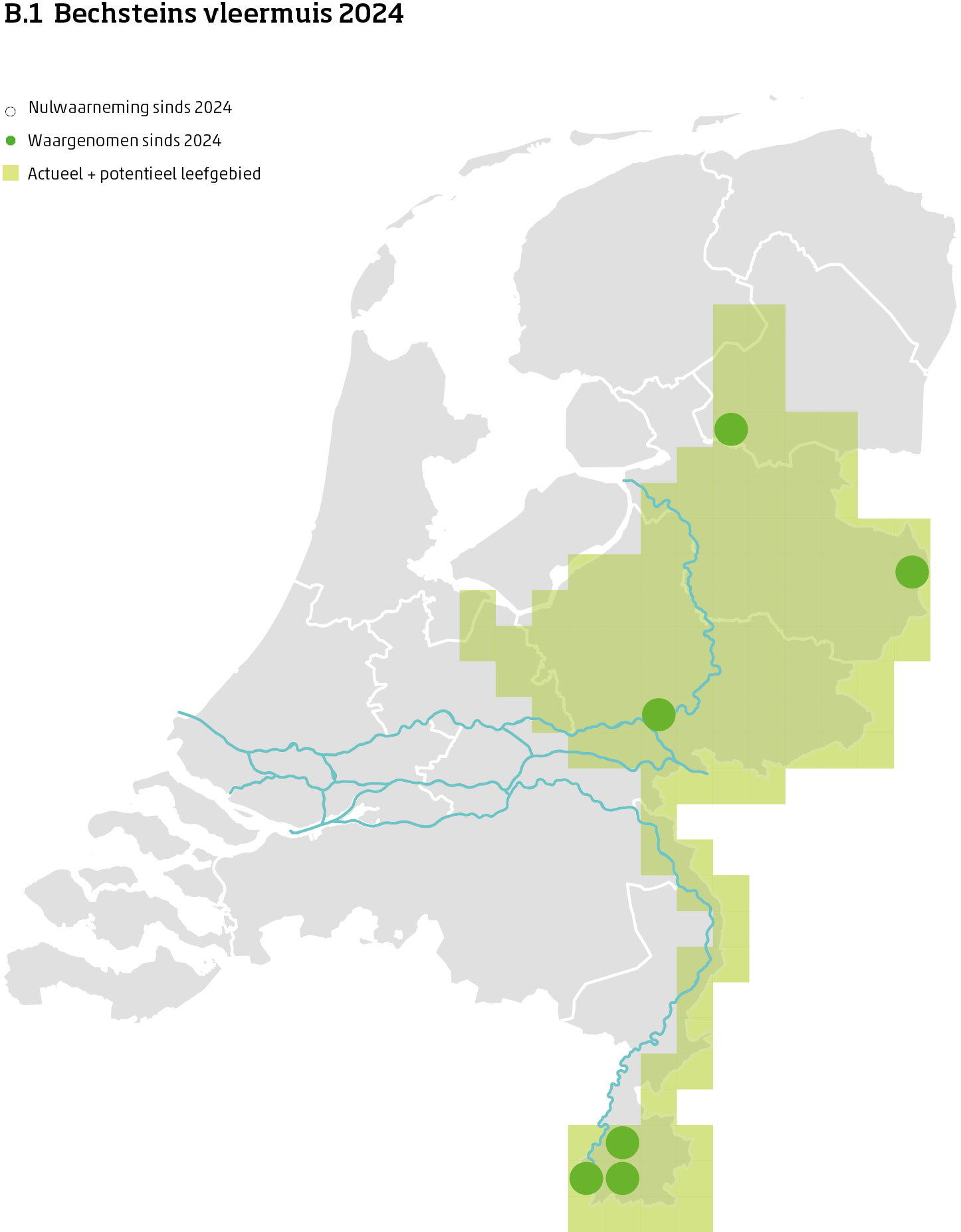 De kaart toont voor de Bechsteins vleermuis het actueel en potentieel leefgebied Nederland. In 10 bij 10 kilometer hokken is aangegeven waar de soort sinds 2018 is waargenomen en waar niet.