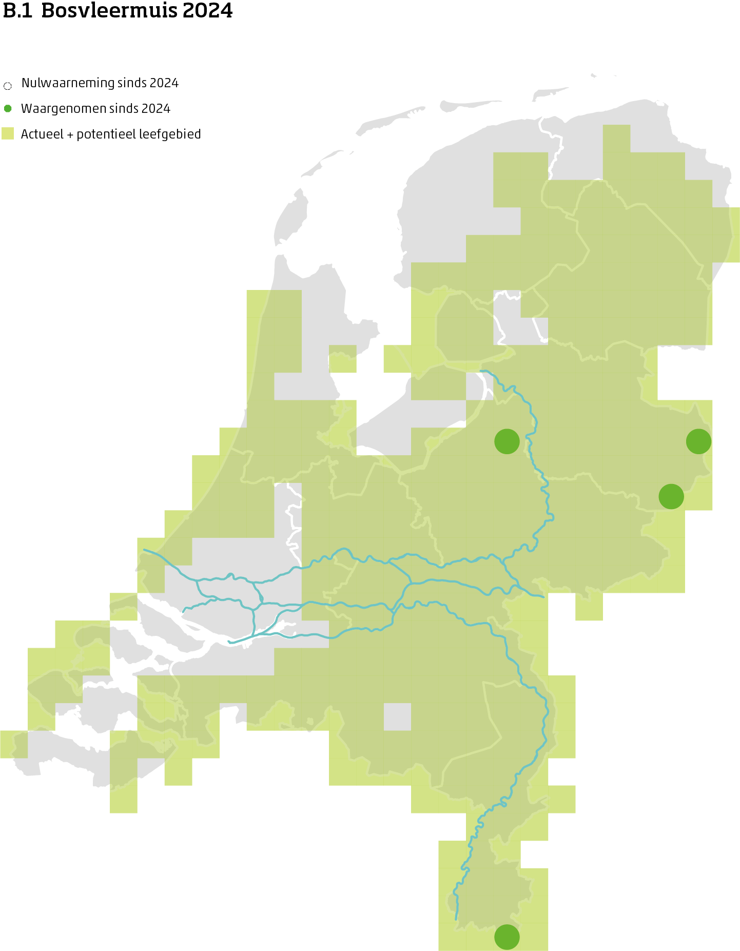 De kaart toont voor de bosvleermuis het actueel en potentieel leefgebied Nederland. In 10 bij 10 kilometer hokken is aangegeven waar de soort sinds 2018 is waargenomen en waar niet.