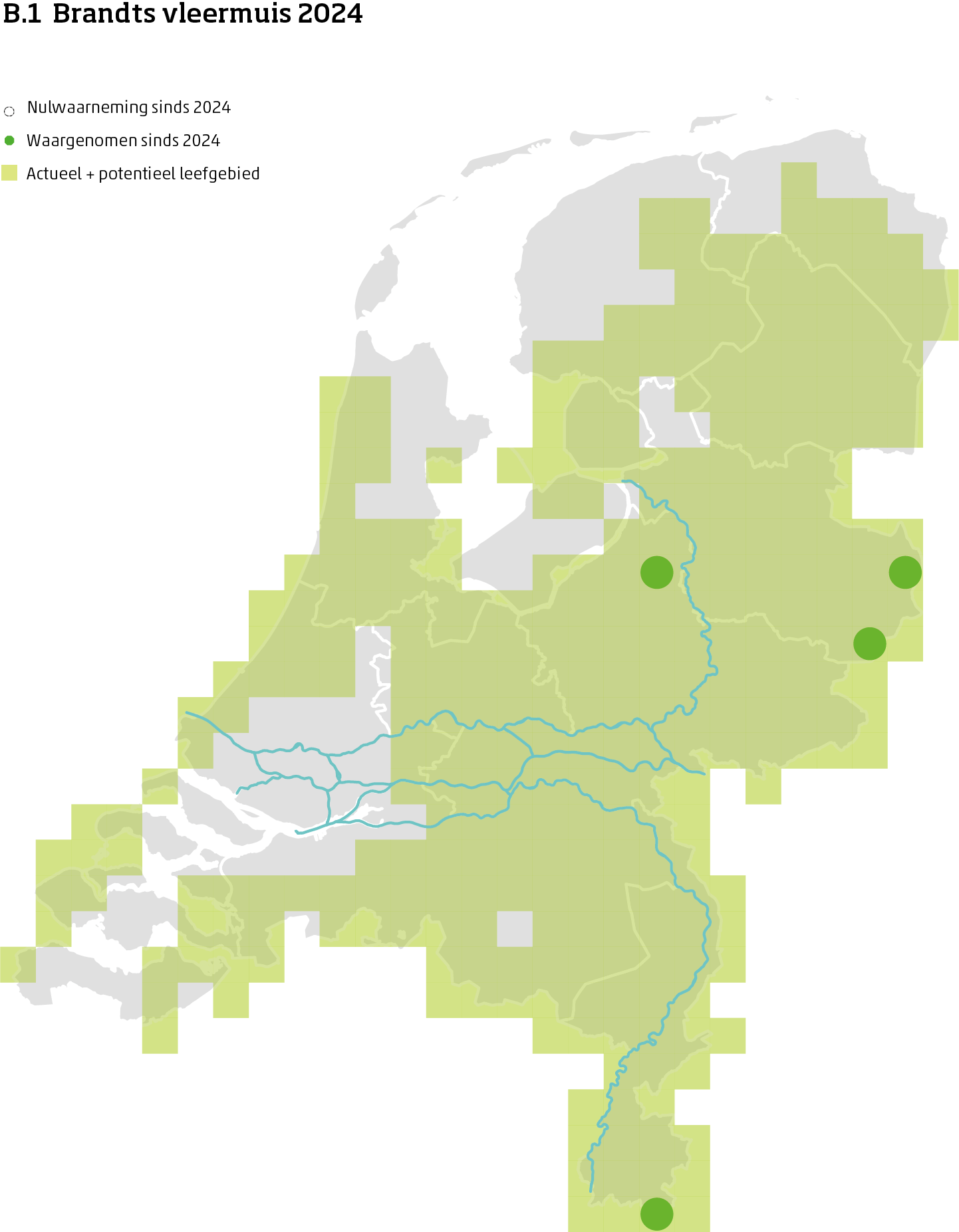 De kaart toont voor de Brandts vleermuis het actueel en potentieel leefgebied Nederland. In 10 bij 10 kilometer hokken is aangegeven waar de soort sinds 2018 is waargenomen en waar niet.
