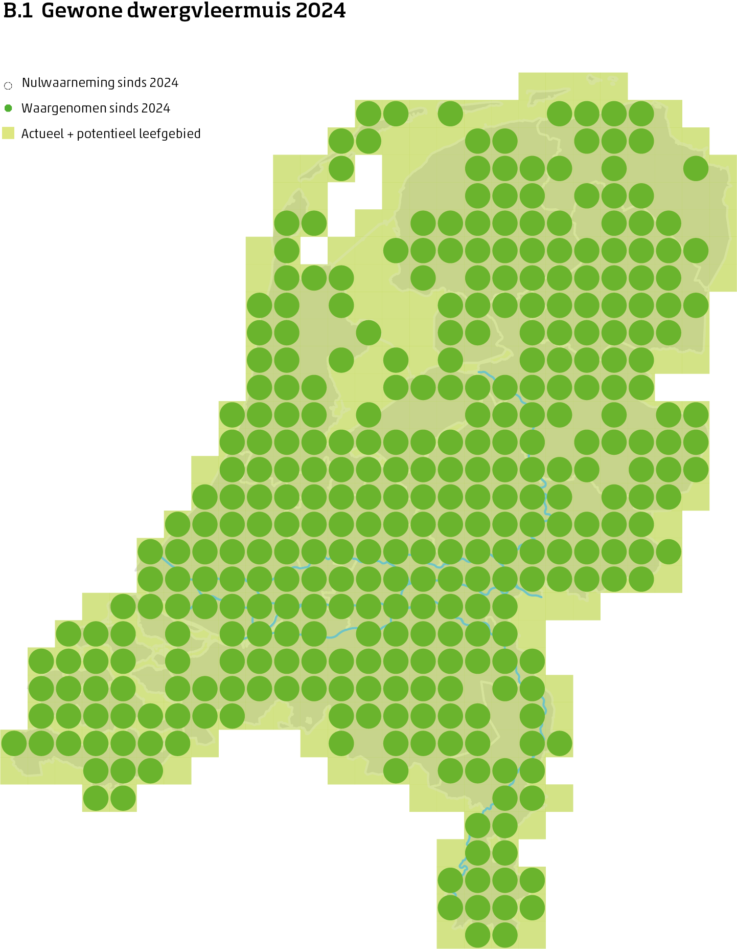 De kaart toont voor de gewone dwergvleermuis het actueel en potentieel leefgebied Nederland. In 10 bij 10 kilometer hokken is aangegeven waar de soort sinds 2018 is waargenomen en waar niet.