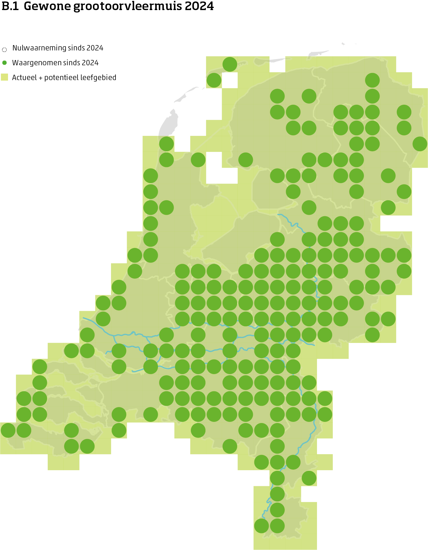 De kaart toont voor de gewone grootoorvleermuis het actueel en potentieel leefgebied Nederland. In 10 bij 10 kilometer hokken is aangegeven waar de soort sinds 2018 is waargenomen en waar niet.