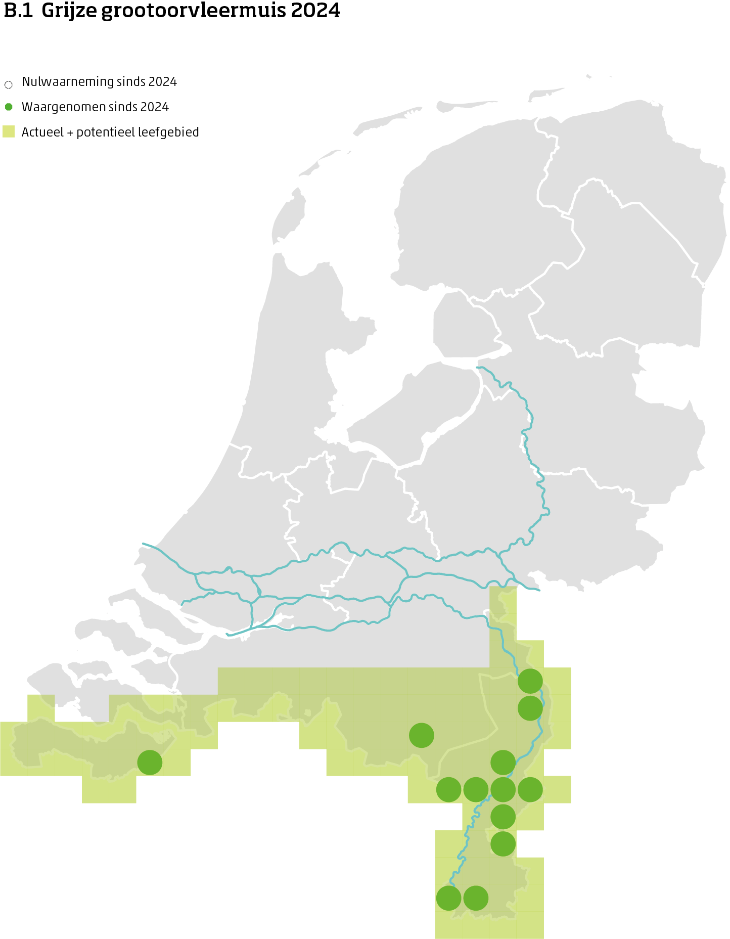 De kaart toont voor de grijze grootoorvleermuis het actueel en potentieel leefgebied Nederland. In 10 bij 10 kilometer hokken is aangegeven waar de soort sinds 2018 is waargenomen en waar niet.
