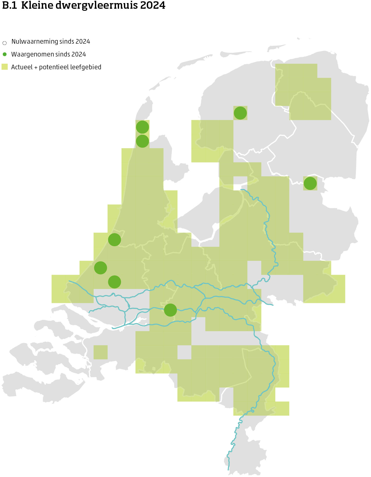 De kaart toont voor de kleine dwergvleermuis het actueel en potentieel leefgebied Nederland. In 10 bij 10 kilometer hokken is aangegeven waar de soort sinds 2018 is waargenomen en waar niet.