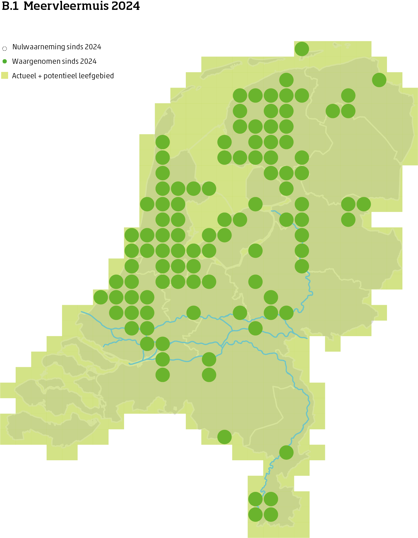 De kaart toont voor de meervleermuis het actueel en potentieel leefgebied Nederland. In 10 bij 10 kilometer hokken is aangegeven waar de soort sinds 2018 is waargenomen en waar niet.