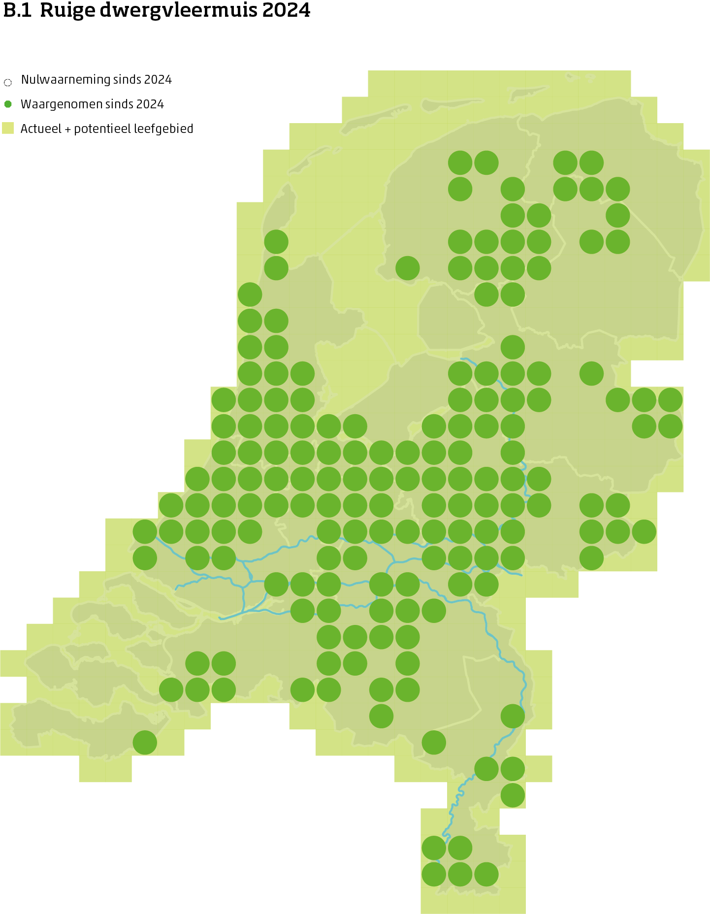 De kaart toont voor de ruige dwergvleermuis het actueel en potentieel leefgebied Nederland. In 10 bij 10 kilometer hokken is aangegeven waar de soort sinds 2018 is waargenomen en waar niet.