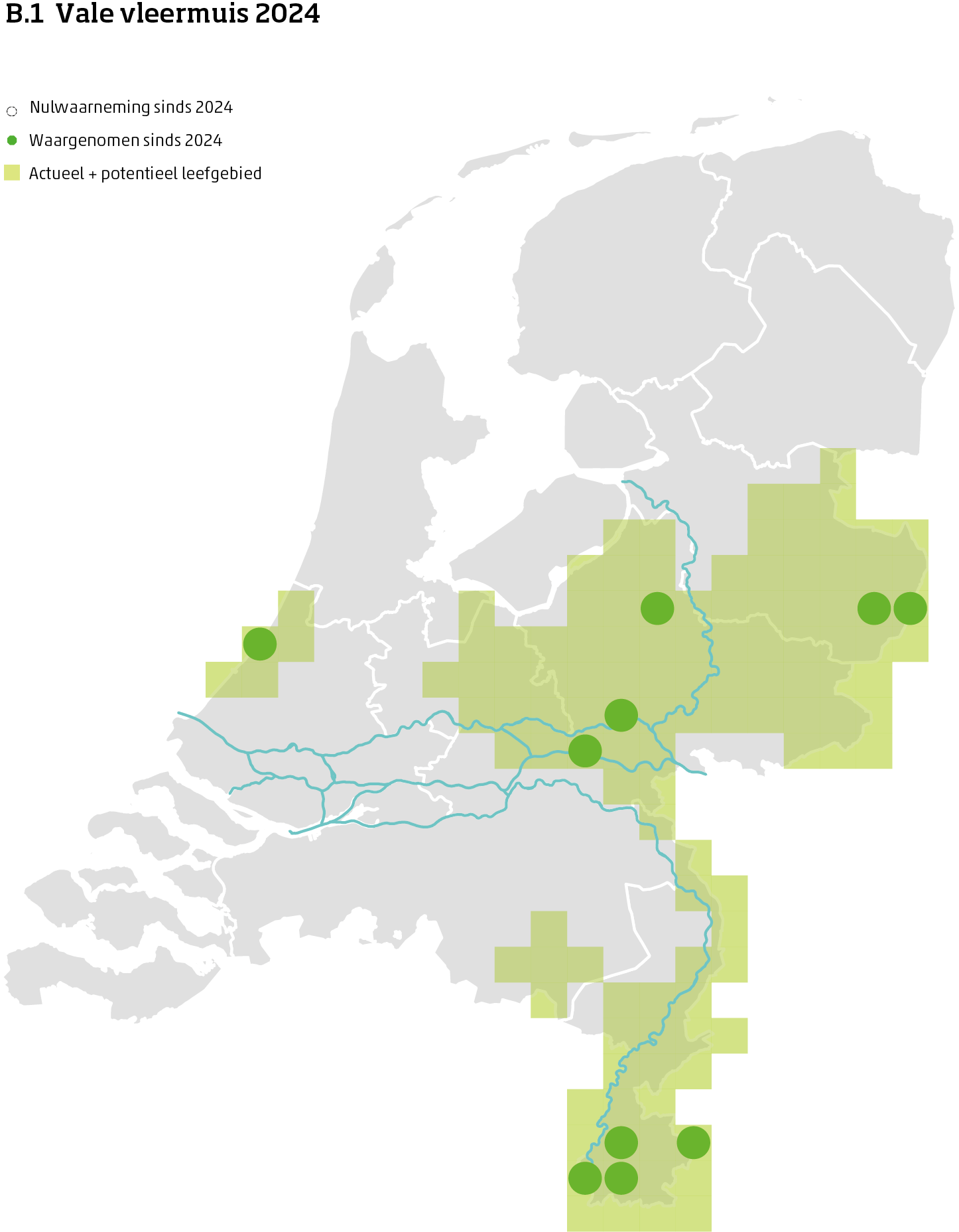 De kaart toont voor de vale vleermuis het actueel en potentieel leefgebied Nederland. In 10 bij 10 kilometer hokken is aangegeven waar de soort sinds 2018 is waargenomen en waar niet.