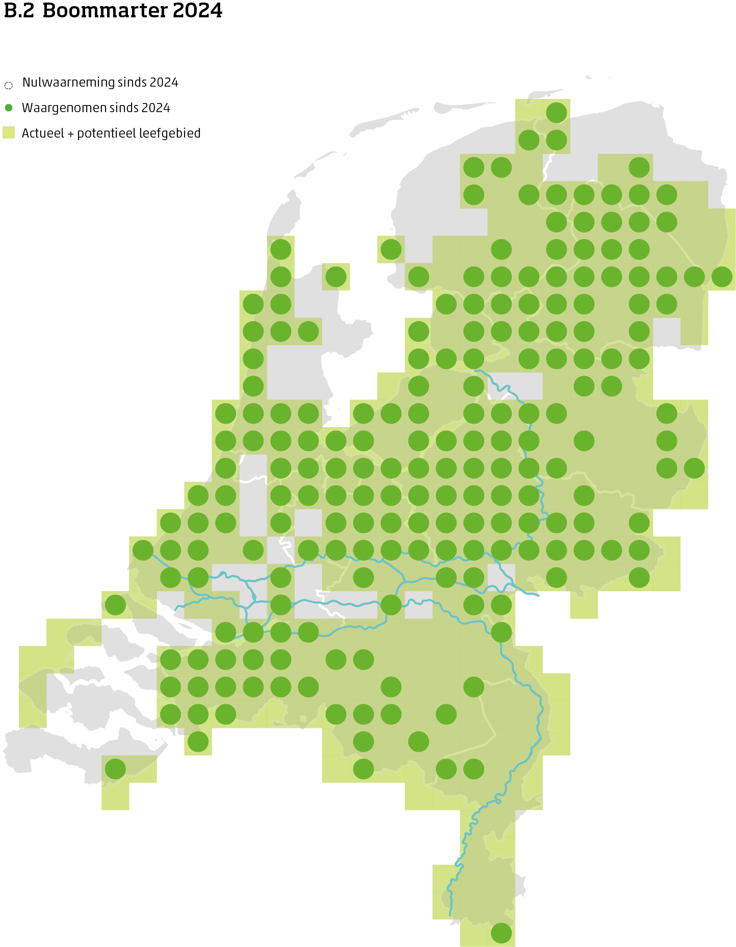 De kaart toont voor de boommarter het actueel en potentieel leefgebied Nederland. In 10 bij 10 kilometer hokken is aangegeven waar de soort sinds 2018 is waargenomen en waar niet.