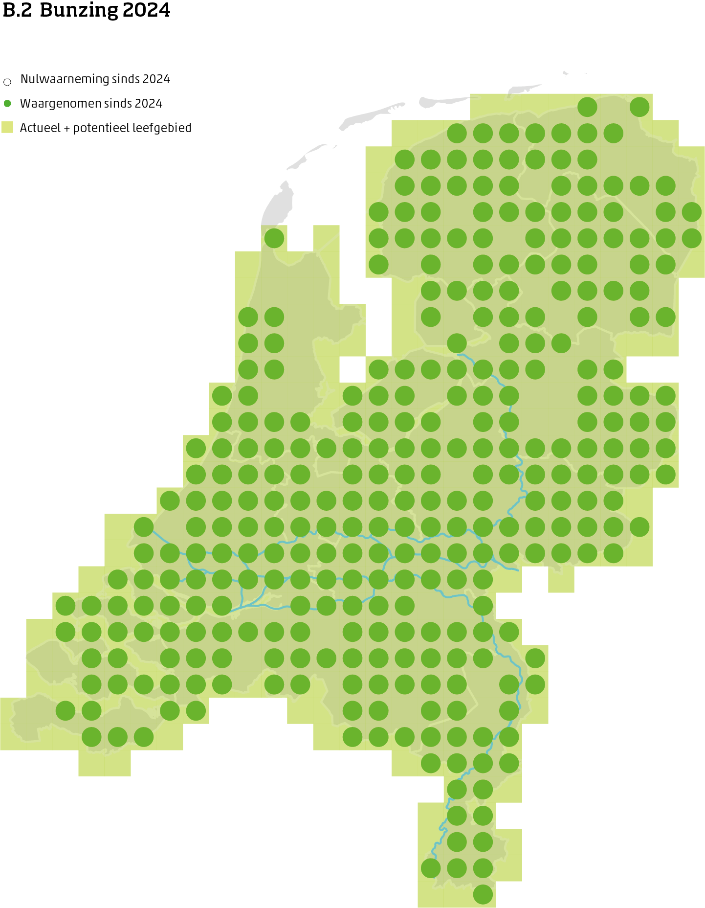 De kaart toont voor de bunzing het actueel en potentieel leefgebied Nederland. In 10 bij 10 kilometer hokken is aangegeven waar de soort sinds 2018 is waargenomen en waar niet.