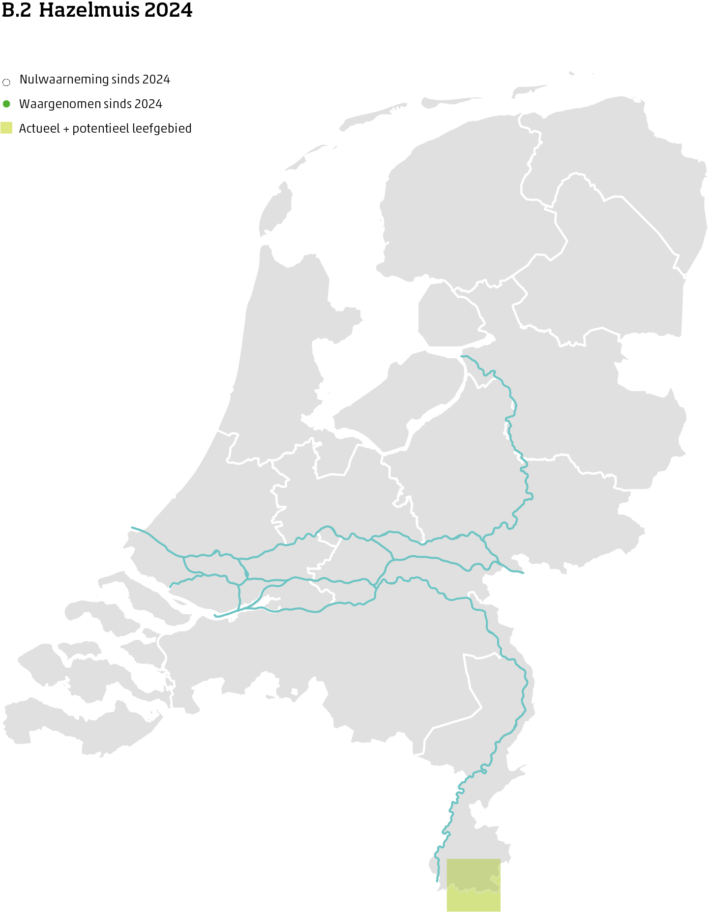 De kaart toont voor de hazelmuis het actueel en potentieel leefgebied Nederland. In 10 bij 10 kilometer hokken is aangegeven waar de soort sinds 2018 is waargenomen en waar niet.