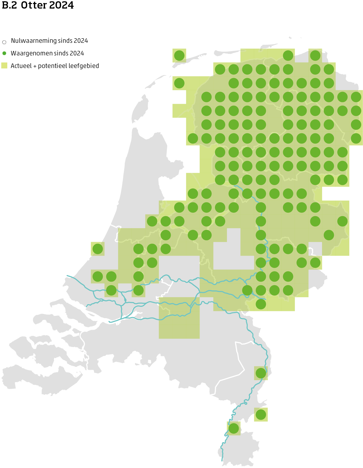 De kaart toont voor de otter het actueel en potentieel leefgebied Nederland. In 10 bij 10 kilometer hokken is aangegeven waar de soort sinds 2018 is waargenomen en waar niet.