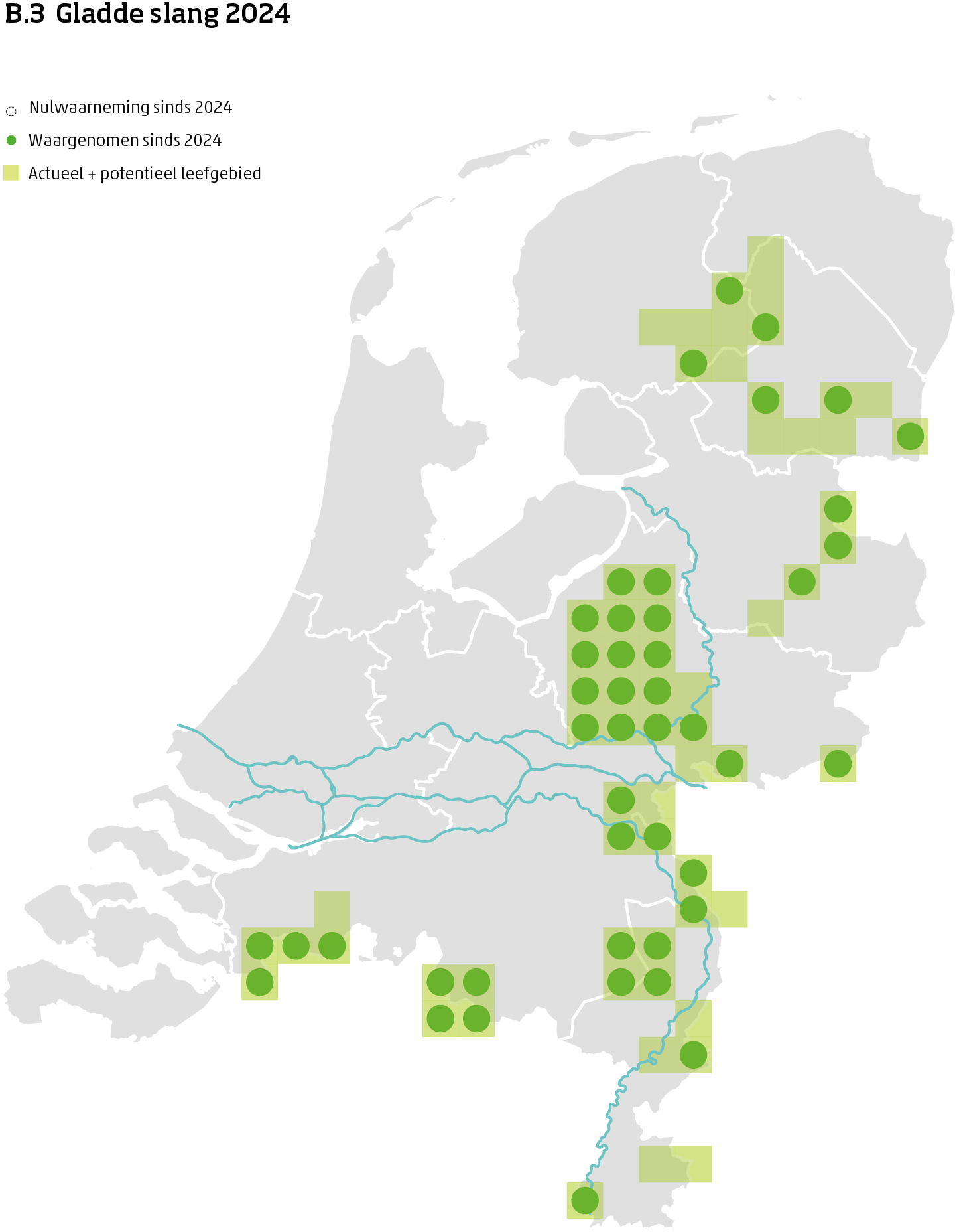 De kaart toont voor de gladde slang het actueel en potentieel leefgebied Nederland. In 10 bij 10 kilometer hokken is aangegeven waar de soort sinds 2018 is waargenomen en waar niet.