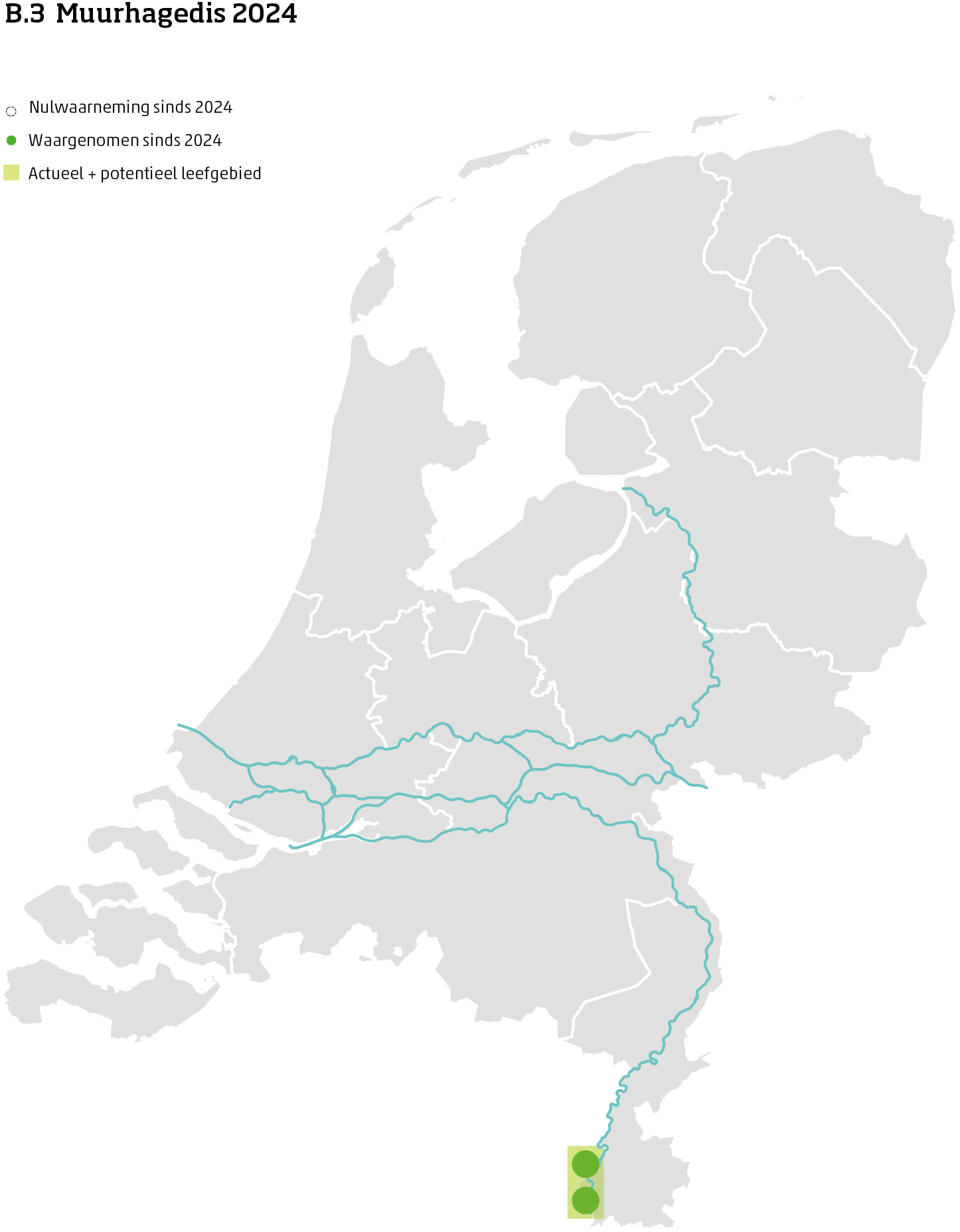 De kaart toont voor de muurhagedis het actueel en potentieel leefgebied Nederland. In 10 bij 10 kilometer hokken is aangegeven waar de soort sinds 2018 is waargenomen en waar niet.