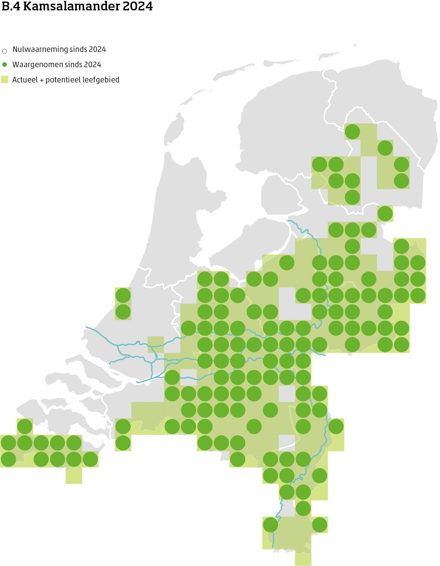 De kaart toont voor de kamsalamander het actueel en potentieel leefgebied Nederland. In 10 bij 10 kilometer hokken is aangegeven waar de soort sinds 2018 is waargenomen en waar niet.