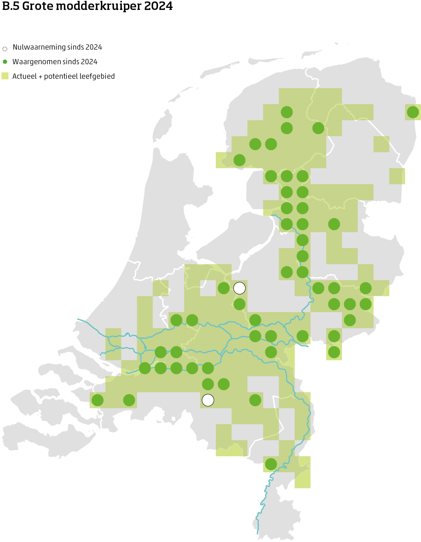 De kaart toont voor de grote modderkruiper het actueel en potentieel leefgebied Nederland. In 10 bij 10 kilometer hokken is aangegeven waar de soort sinds 2018 is waargenomen en waar niet.