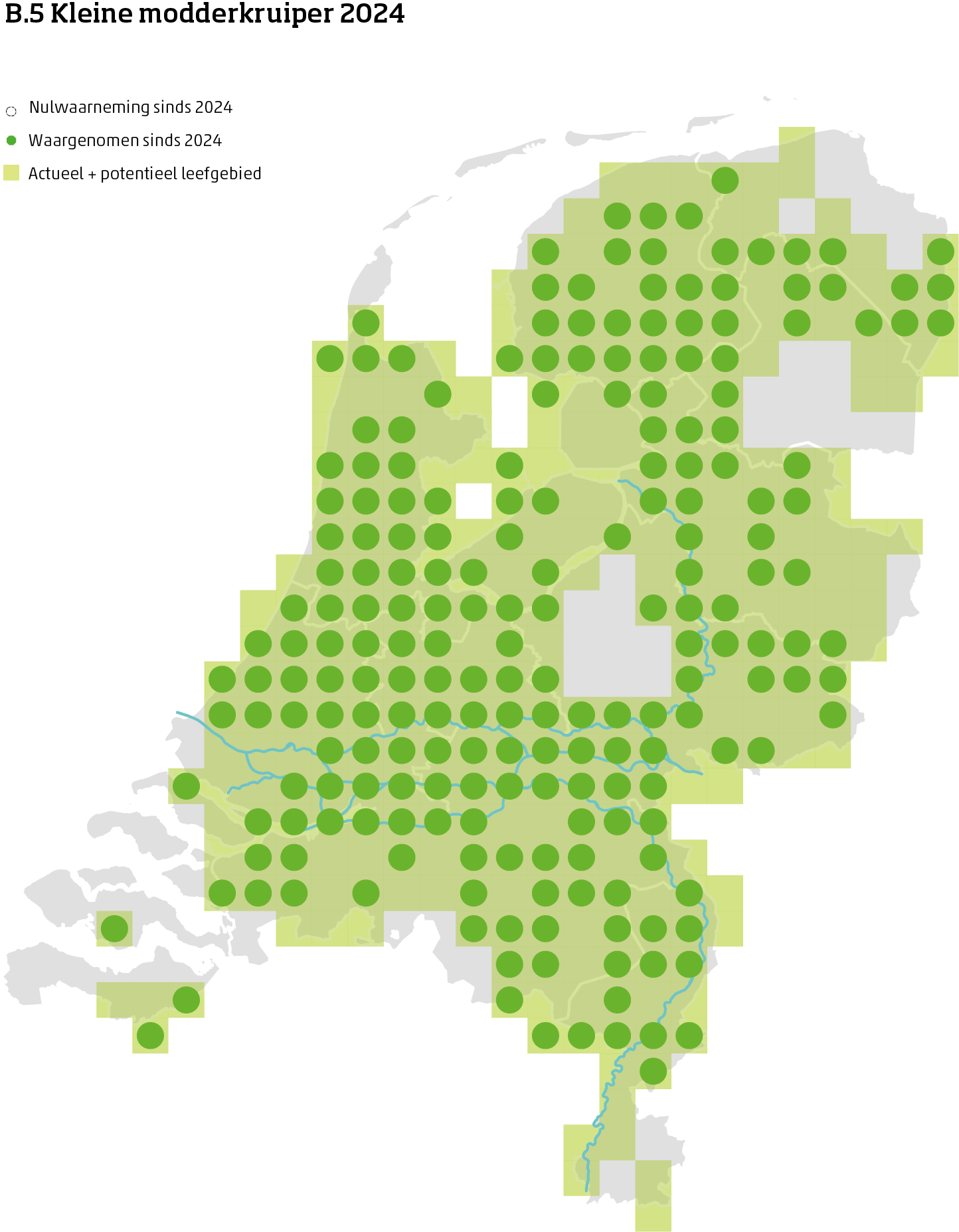 De kaart toont voor de kleine modderkruiper het actueel en potentieel leefgebied Nederland. In 10 bij 10 kilometer hokken is aangegeven waar de soort sinds 2018 is waargenomen en waar niet.