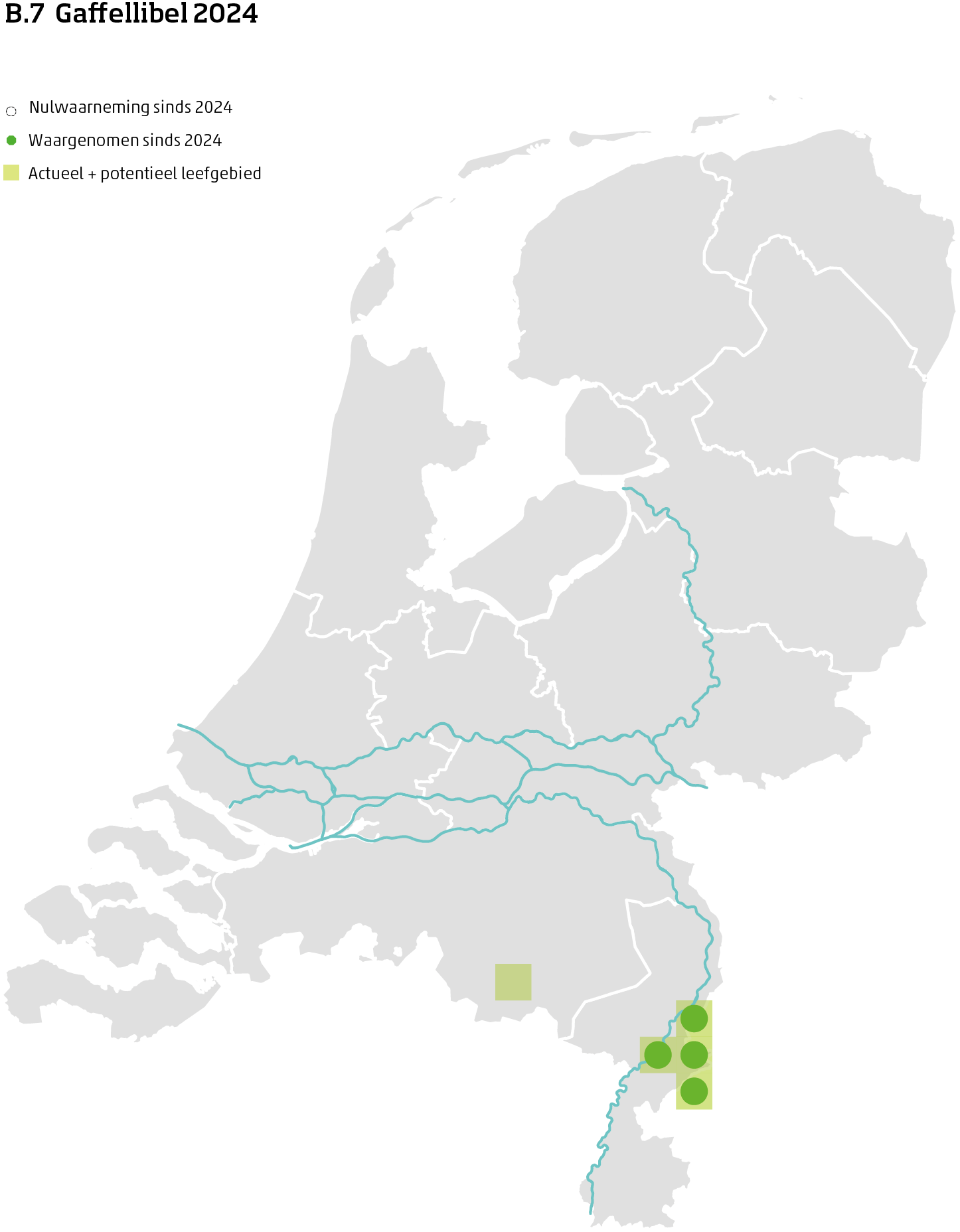 De kaart toont voor de gaffellibel het actueel en potentieel leefgebied Nederland. In 10 bij 10 kilometer hokken is aangegeven waar de soort sinds 2018 is waargenomen en waar niet.