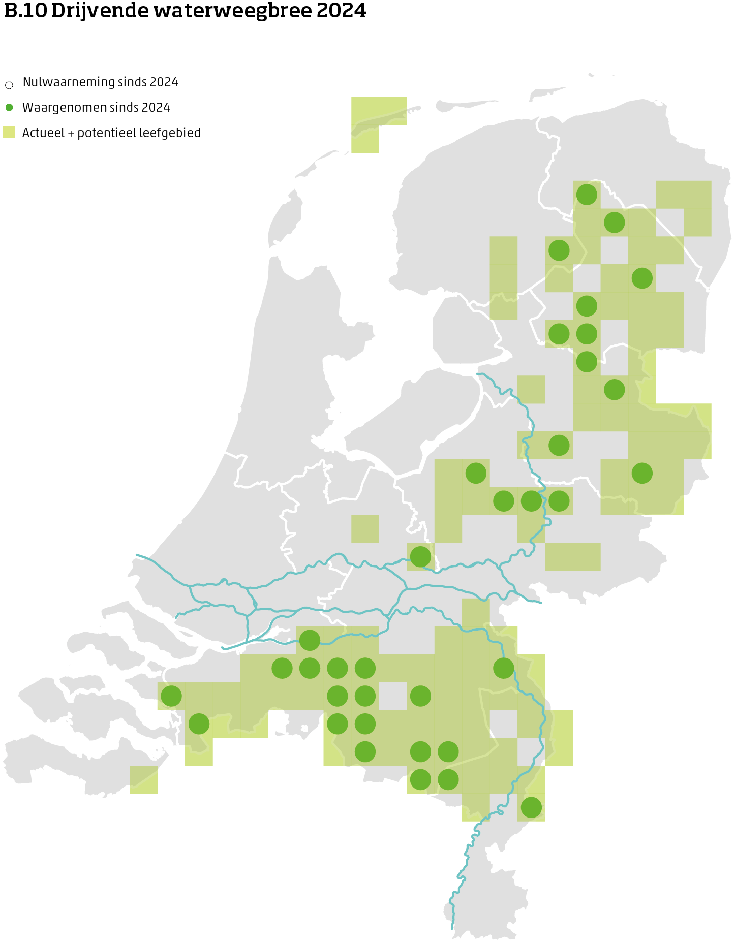 De kaart toont voor drijvende waterweegbree het actueel en potentieel leefgebied Nederland. In 10 bij 10 kilometer hokken is aangegeven waar de soort sinds 2019 is waargenomen en waar niet.