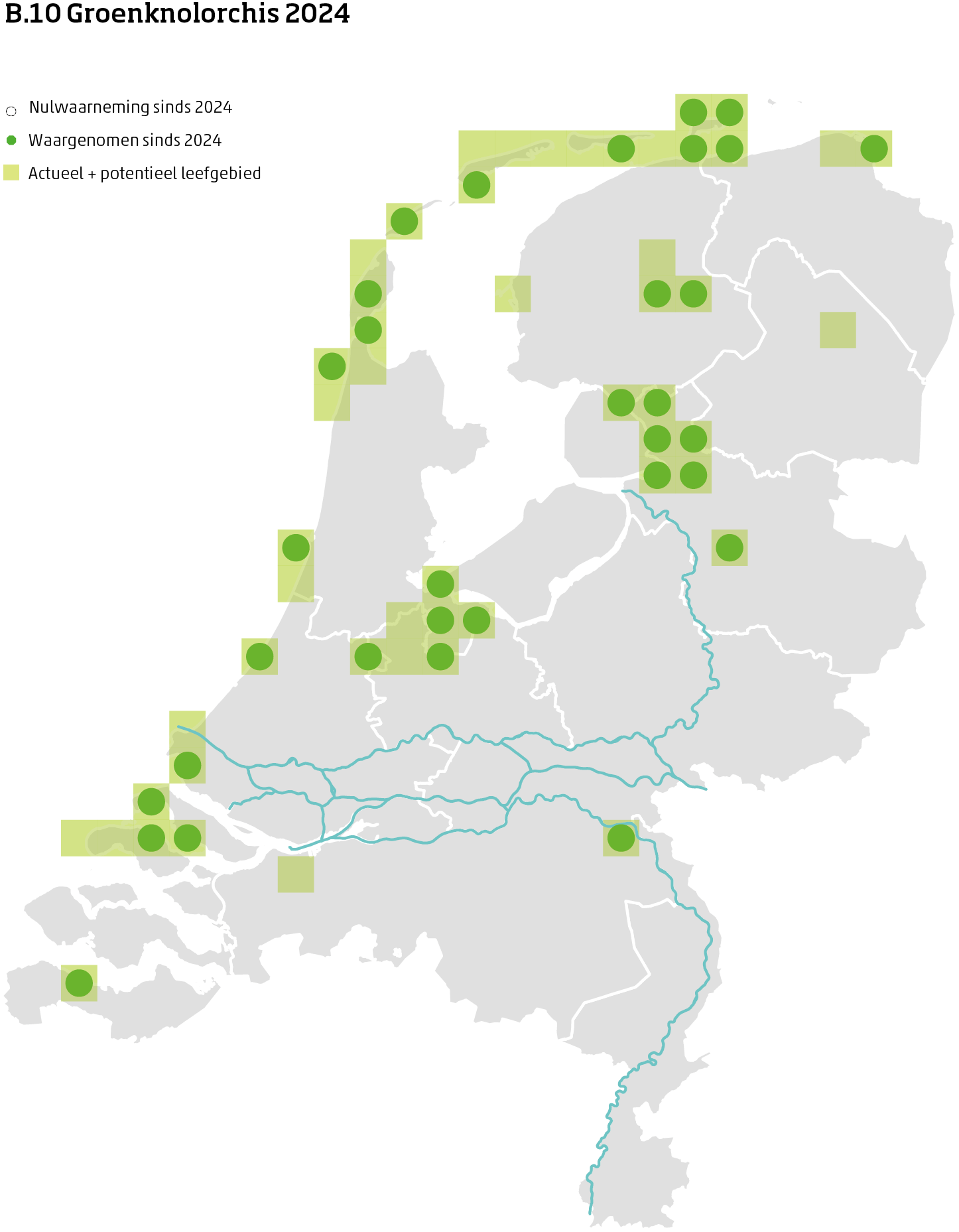 De kaart toont voor de groenknolorchis het actueel en potentieel leefgebied Nederland. In 10 bij 10 kilometer hokken is aangegeven waar de soort sinds 2019 is waargenomen en waar niet.