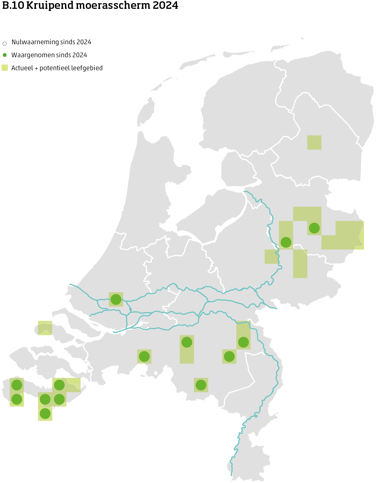 De kaart toont voor kruipend moerasscherm het actueel en potentieel leefgebied Nederland. In 10 bij 10 kilometer hokken is aangegeven waar de soort sinds 2019 is waargenomen en waar niet.