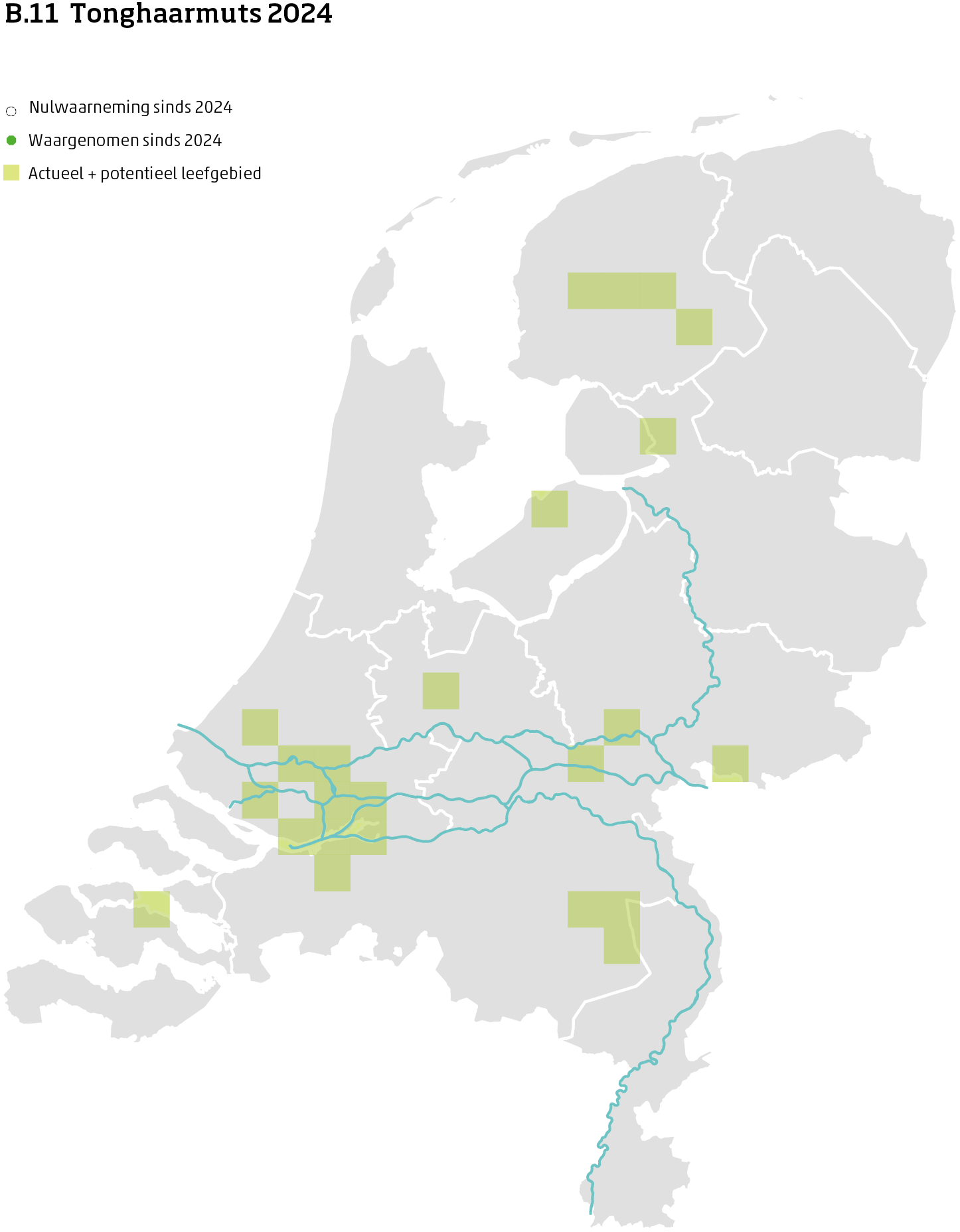 De kaart toont voor tonghaarmuts het actueel en potentieel leefgebied Nederland. In 10 bij 10 kilometer hokken is aangegeven waar de soort sinds 2018 is waargenomen en waar niet.