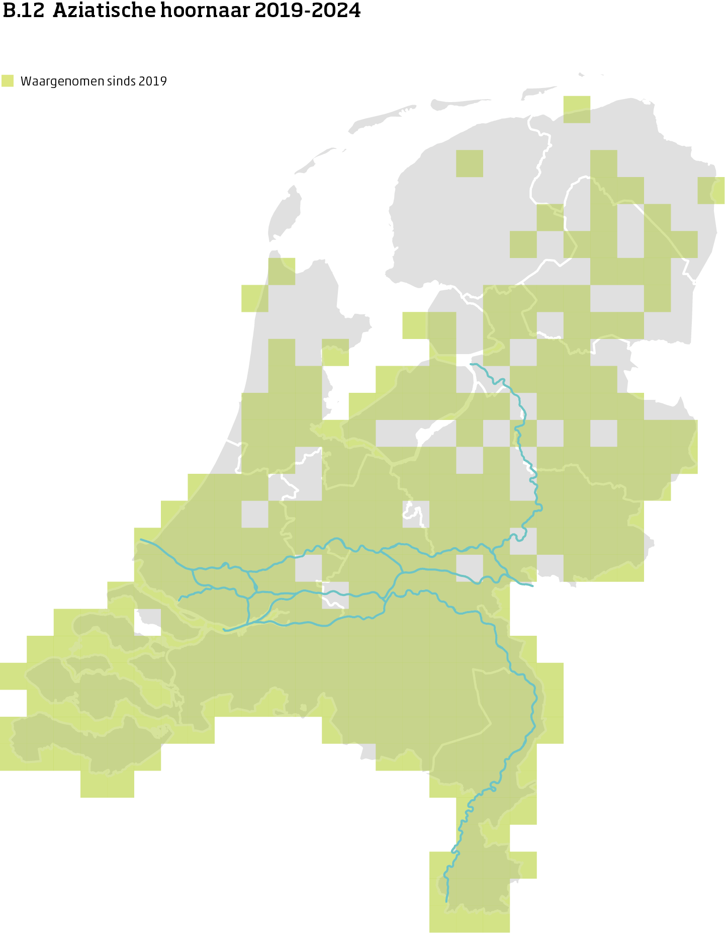 De kaart toont voor Aziatische hoornaar het actueel leefgebied Nederland. In 10 bij 10 kilometer hokken is aangegeven waar de soort sinds 2019 is waargenomen.