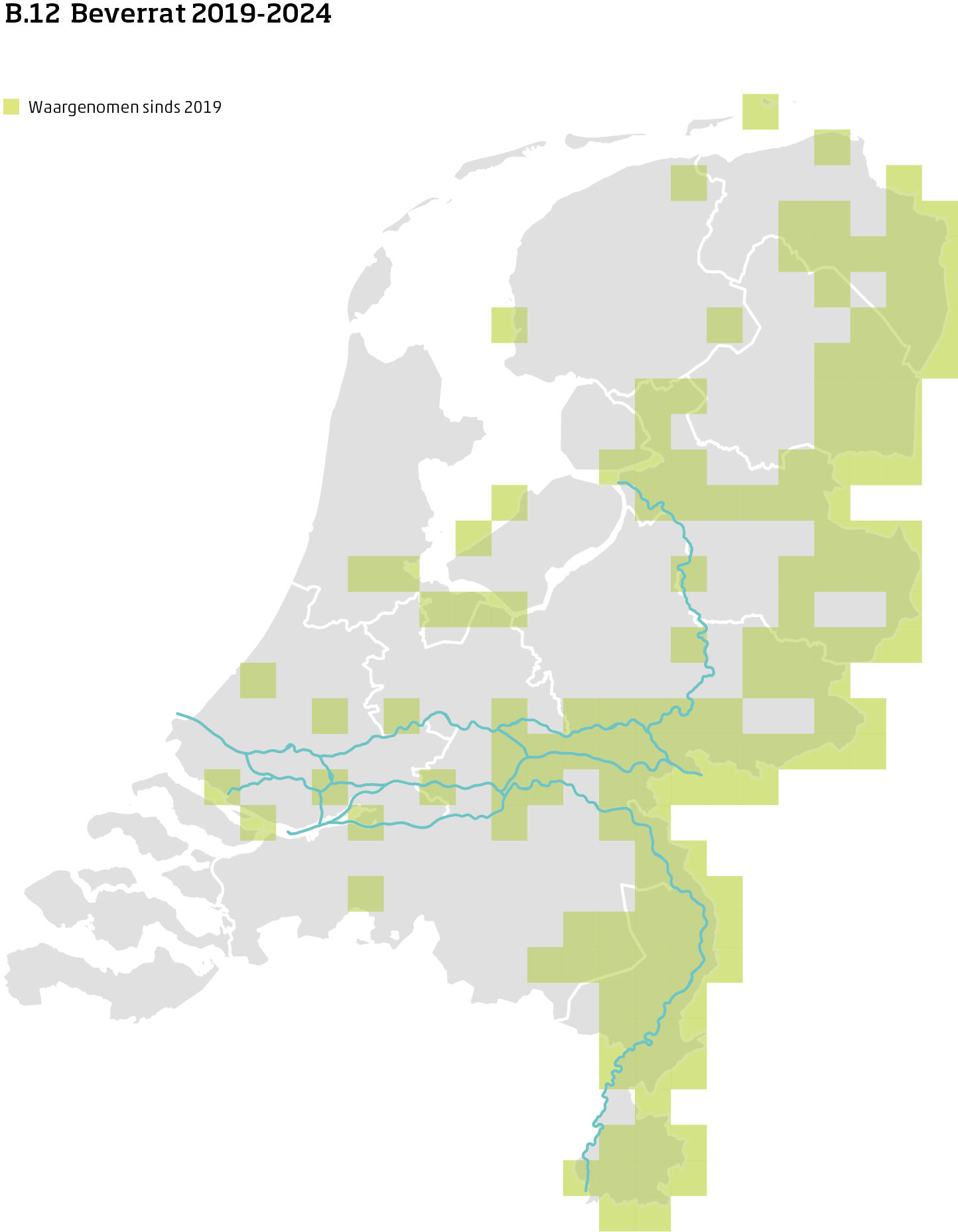 De kaart toont voor beverrat het actueel leefgebied Nederland. In 10 bij 10 kilometer hokken is aangegeven waar de soort sinds 2019 is waargenomen.