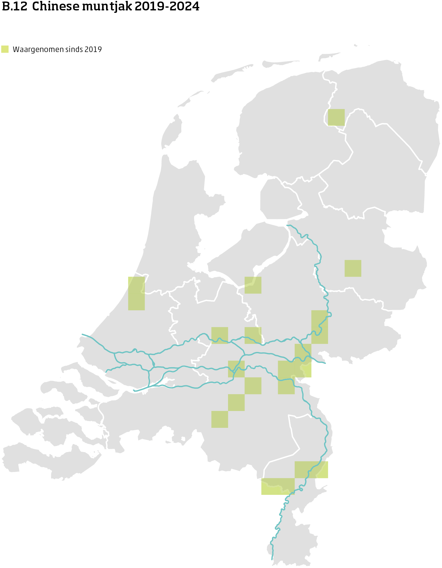 De kaart toont voor Chinese muntjak het actueel leefgebied Nederland. In 10 bij 10 kilometer hokken is aangegeven waar de soort sinds 2019 is waargenomen.